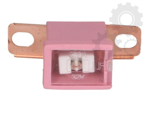 [RPR 1364] Sigurante Auto Patrate Cu Mufa Plata, 30A, L = 30mm, Capac Plat